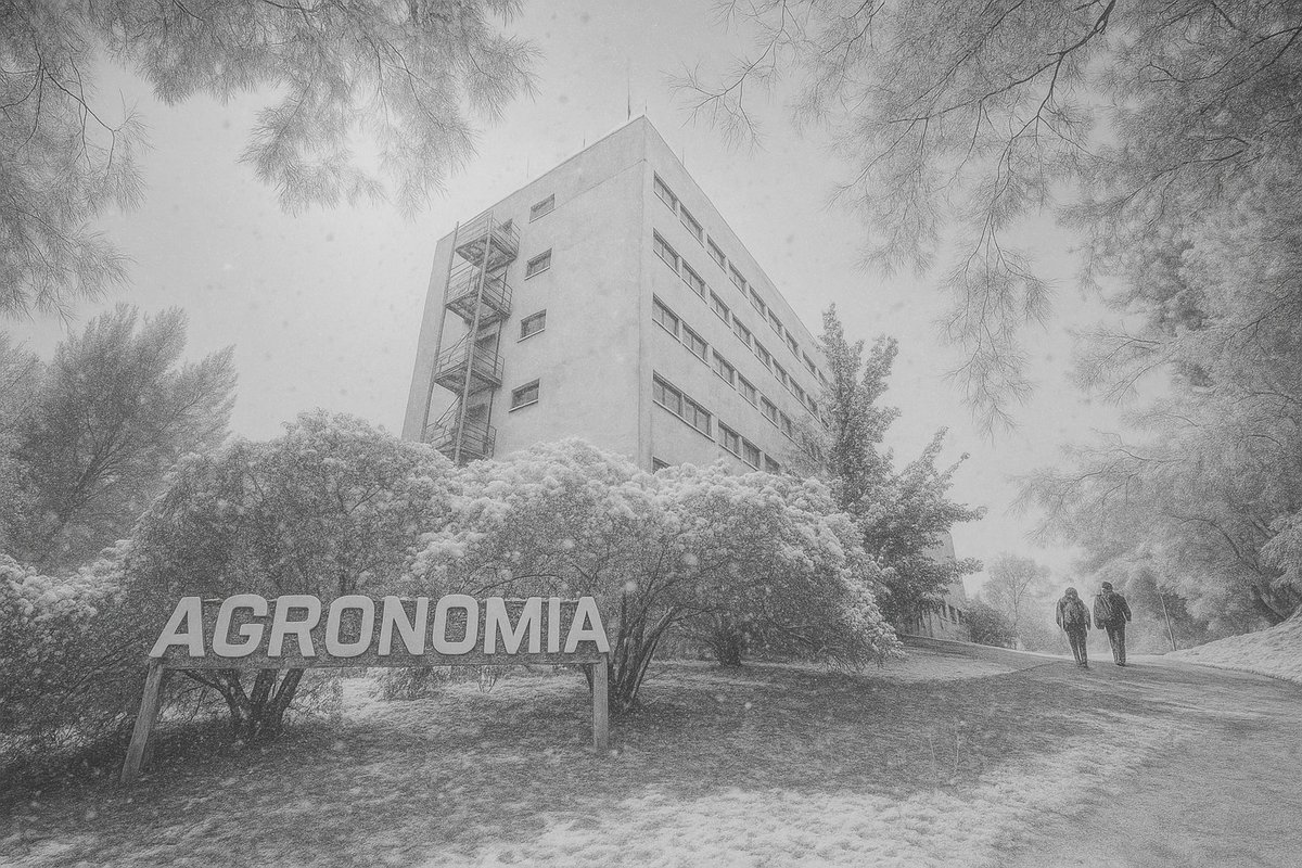 🌨CONTANOS... SI VIENE UNA NEVADA MORTAL... 🪲

...¿qué te ayudaría a sobrevivir de lo que aprendiste en la UNS?