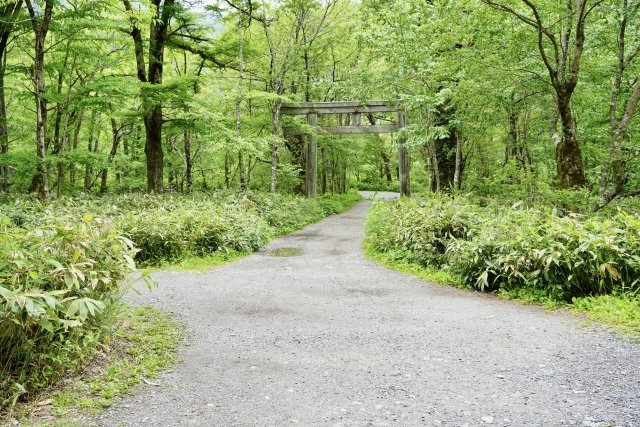 チケット詐欺反省 (@reasytwi) on Twitter photo 