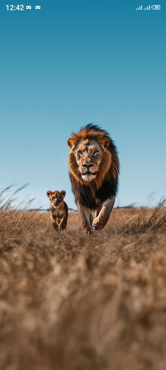 CheedyChee16699's tweet photo. @privaldinho @TZSportPesa Simba sc🦁 https://t.co/TnGuXyzJ6M