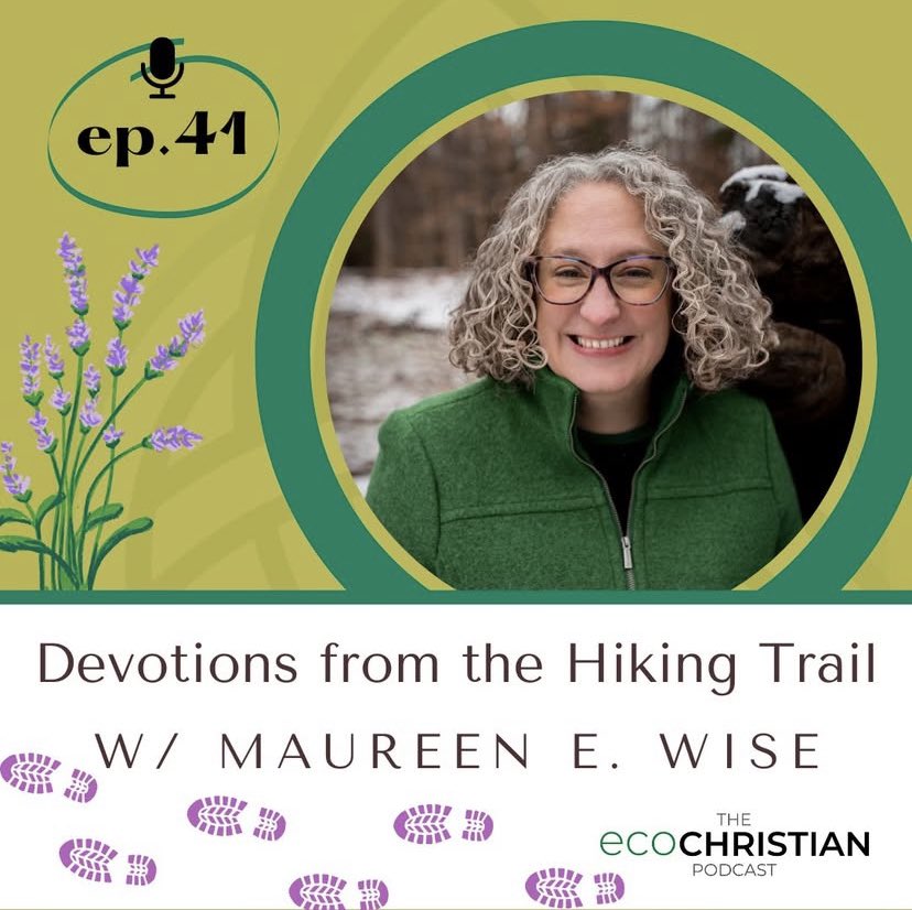 TheEcoChristian's tweet photo. Jesus often went off-trail into the wild places to pray… In this episode, we hear from author Maureen E. Wise about her book “Strength for my Path: 52 Devotions from the Hiking Trail”! 
#devotionals #hiking #creation #prayer https://t.co/7j5SmRVLz4