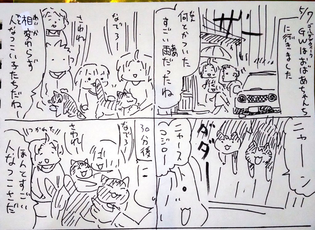 #本日のむすめさん
おばあちゃんちの猫たちと触れ合ってきました。相当な人好き猫たちで近寄ってきてくれます。四六時中撫でろ触れで猫充してきました。むすめさんもご満悦。
しかしこの人懐こさで17才なんですよねえ。長生きしてね! 