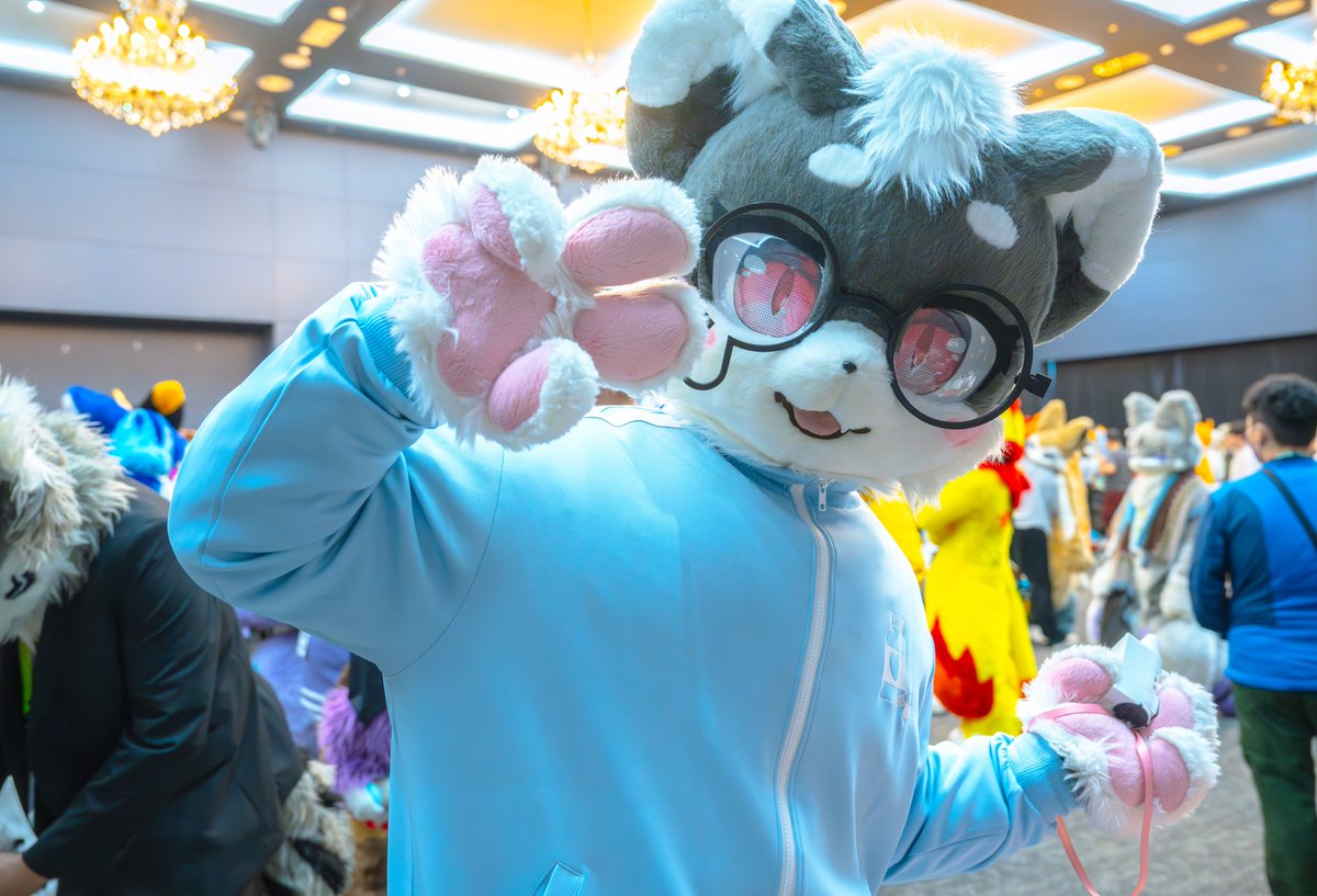 까미 (@kkami_tiger) on Twitter photo 