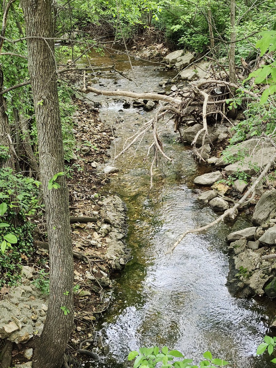 Get outside. You'll feel better.