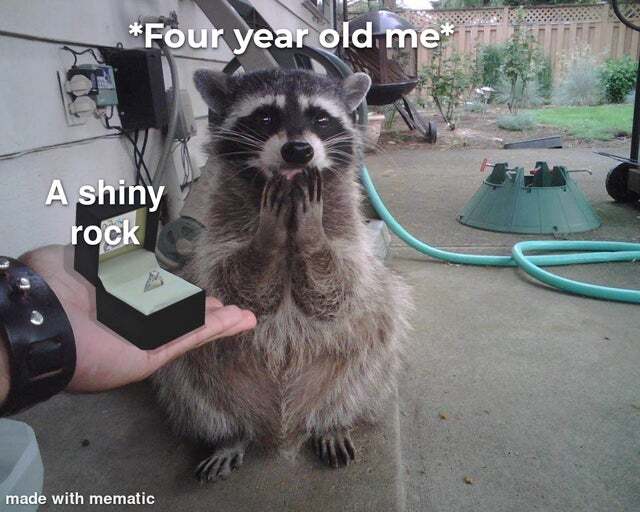 WholesomeMemes (@wholesomememe) on Twitter photo 