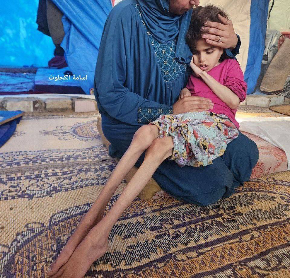 Gazze Hükümet Sözcüsü:

Gazze'de kıtlık başlık çok kritik düzeye ulaştı.#OpenRafahSaveGaza