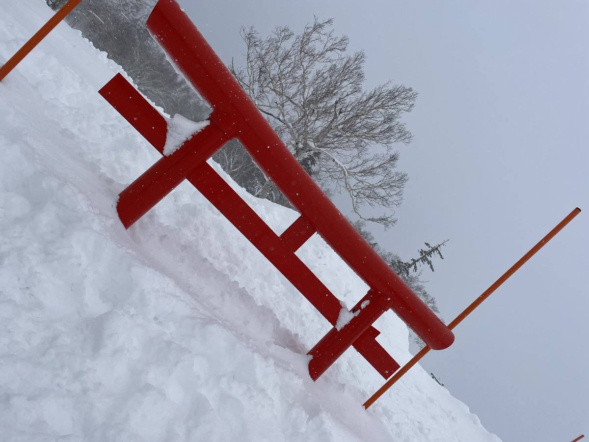 NS_P_V's tweet image. 積雪ビフォーアフター😳

シーズンラストは最高コンディションで満喫ᕷ⋆͛*
来シーズンはもぅ少し足を伸ばそうか...😏✨
#slab #yukiyama #RIDEOUT