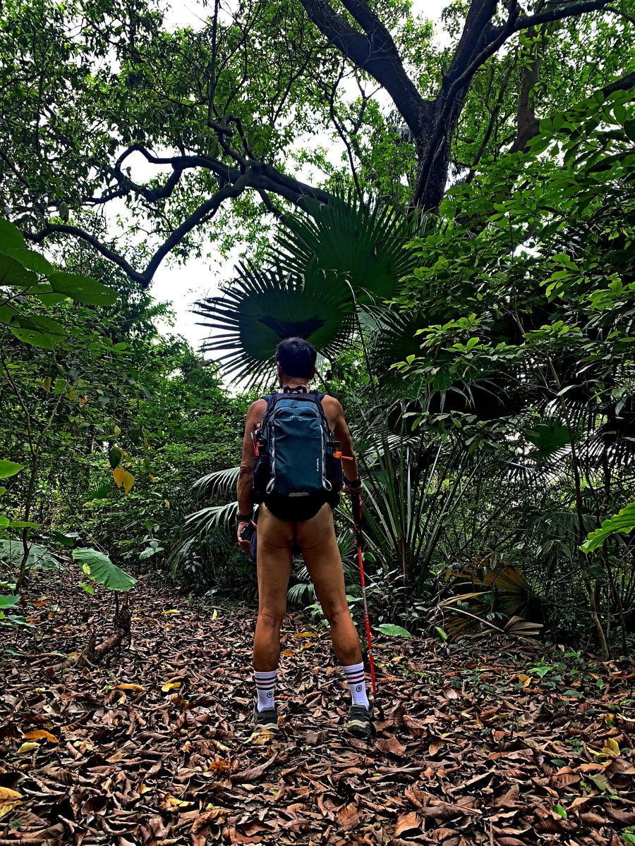 自在林深处
#天体