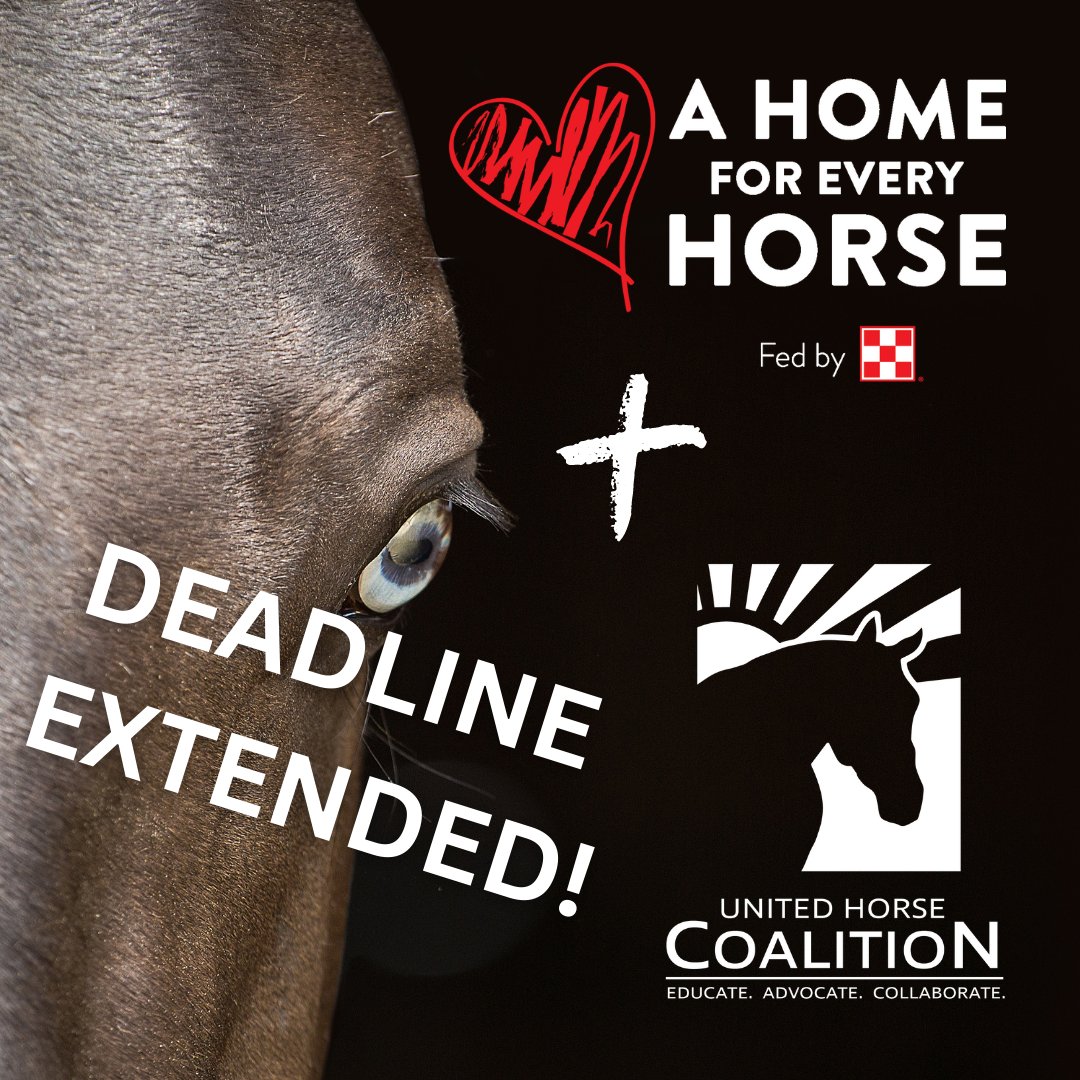 A Home For Every Horse and the United Horse Coalition have extended the deadline for the spring application cycle. Member portal updates and Equine Welfare Data Collective survey participation will remain open until this Friday! 

#UnitedHorseCoalition #AHomeForEveryHorse