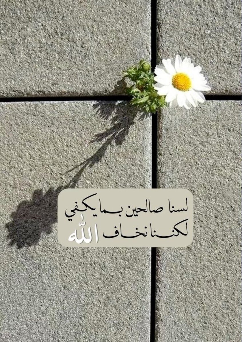 خالد بن نغيمش (@k_s_a_503) on Twitter photo 