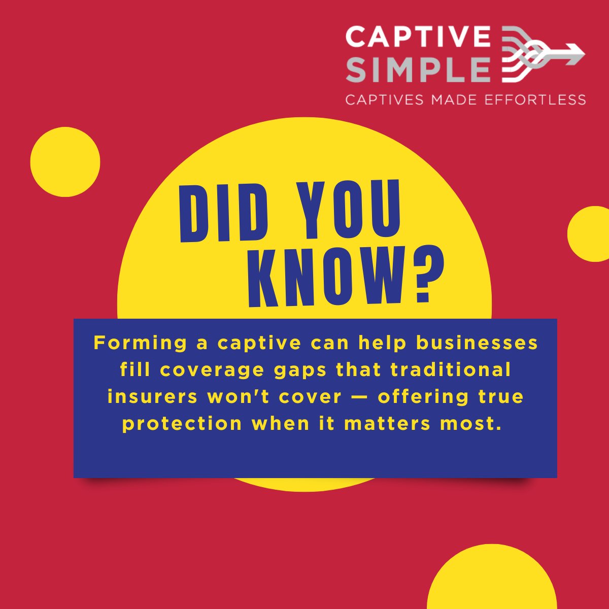 CaptiveSimple tweet media