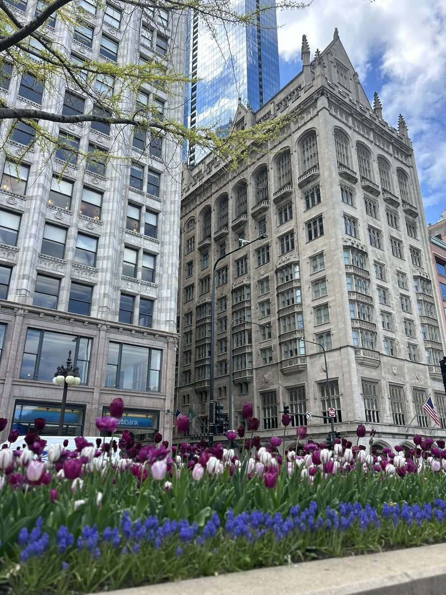 Crystal Egger tweet media