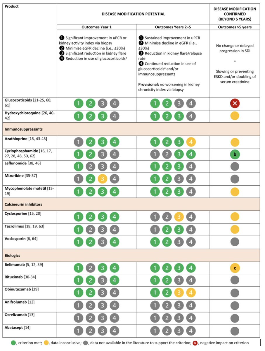 Happy Tuesday! Take a look at “Disease-Modifying Therapies in Lupus Nephritis: A Narrative Review Evaluating Currently Used Pharmacologic Agents” with Dr. Bomback as a coauthor 
link.springer.com/article/10.100…