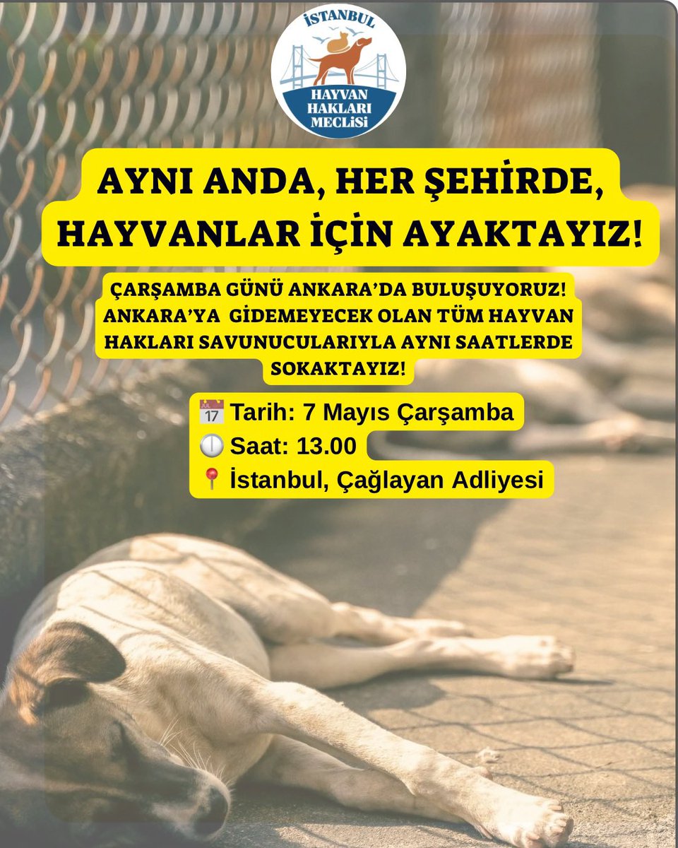 Hayvan Hakları İçin Adliyedeyiz!

Ankara’ya gidemeyen tüm hayvan hakkı savunucularını birlikte ses olmaya çağırıyoruz.

Her şehirde, eş zamanlı eylemdeyiz!

Hayvanların yaşam ve özgürlük hakları için, birlikteyiz, buradayız, vazgeçmiyoruz!
#aymyasayıiptalet