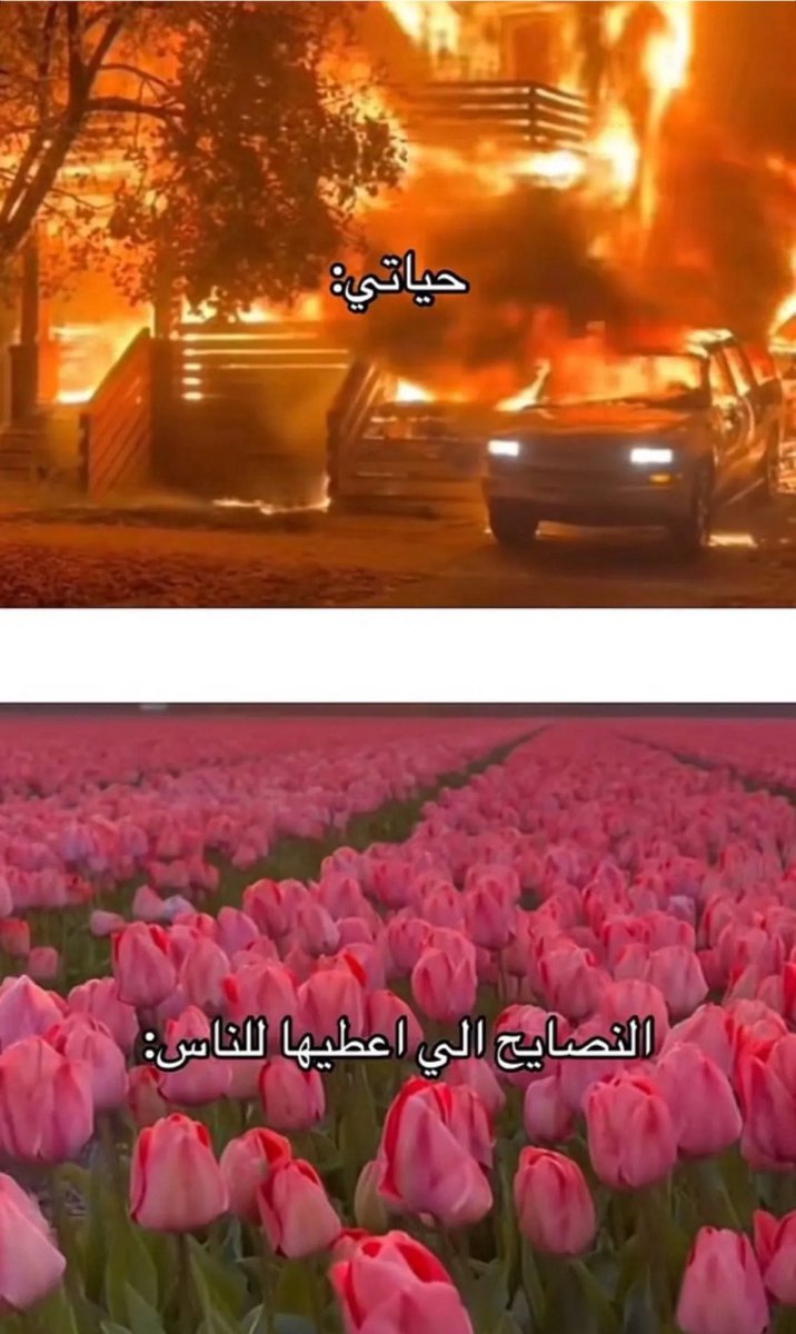 محبوب (@imahbuob) on Twitter photo 