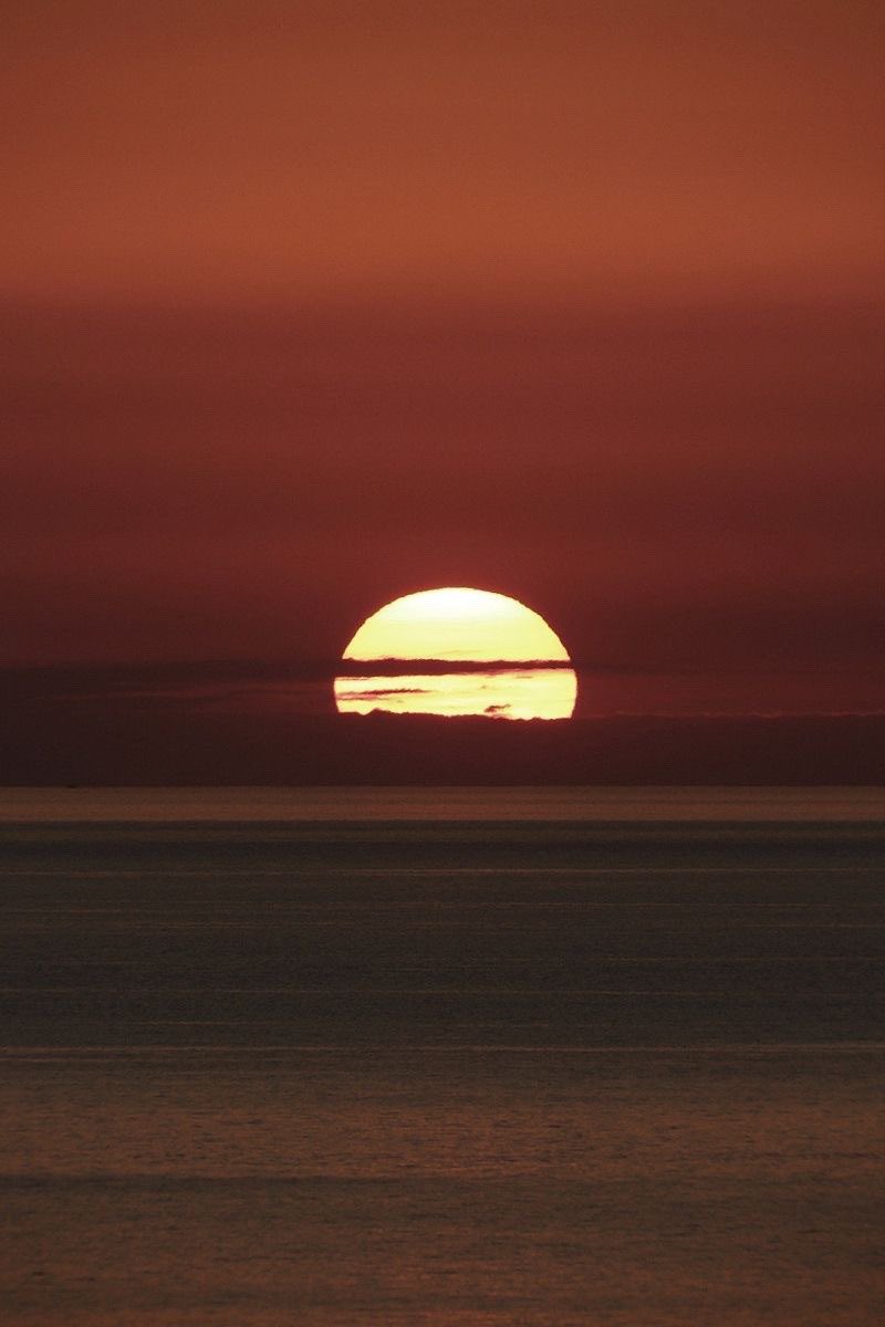 hannah (@dumbandfunn) on Twitter photo 