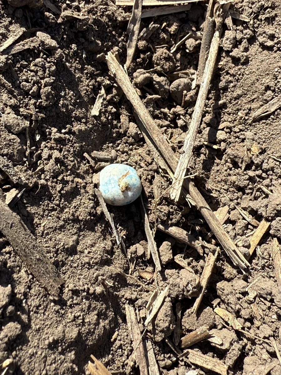 37.5 hrs in the ground, and we have tails.