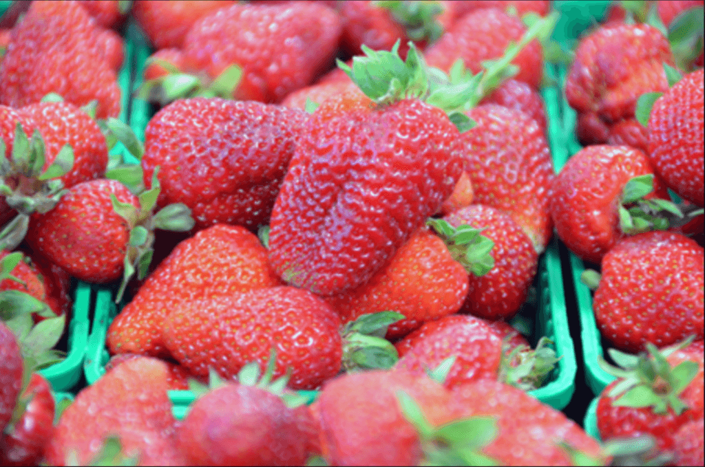 RealAgriculture tweet media