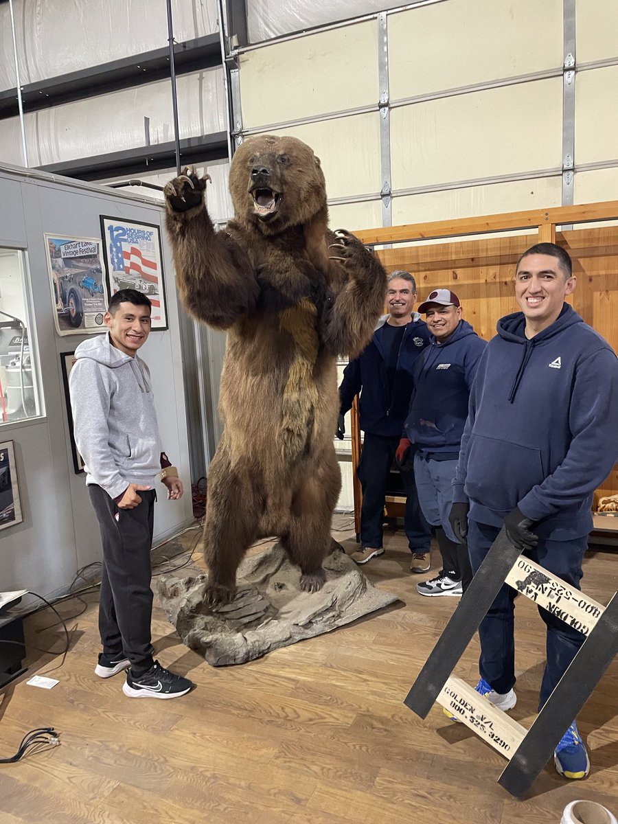 GoldenVanLines's tweet photo. Not every day we get to move a grizzly bear. https://t.co/VOab3CUa1u