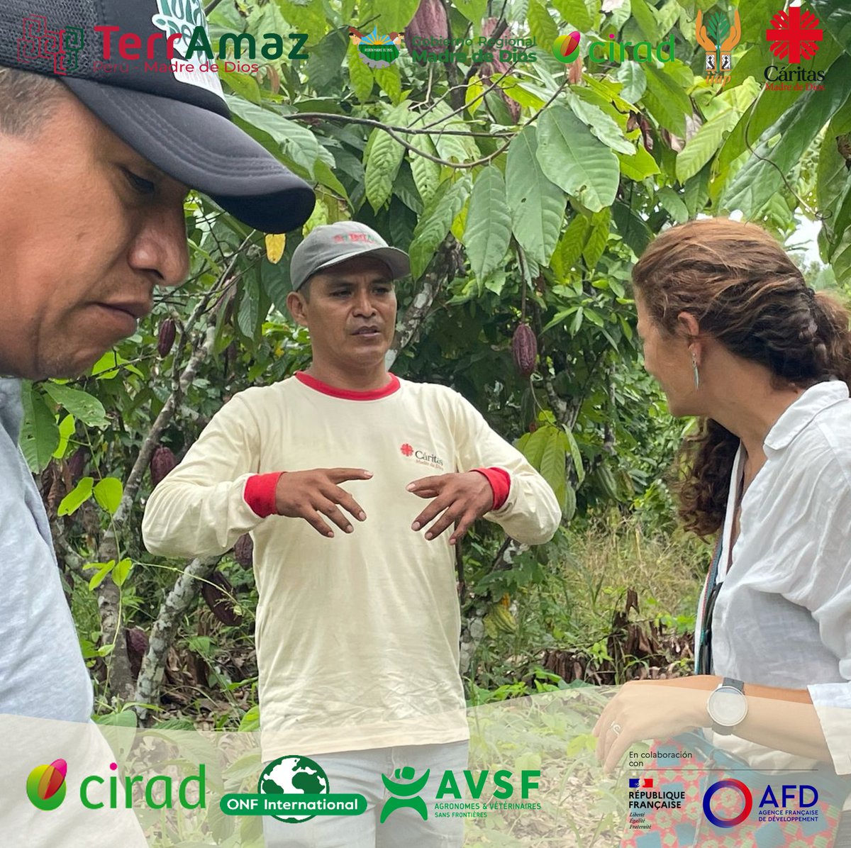 TerrAmaz tweet media