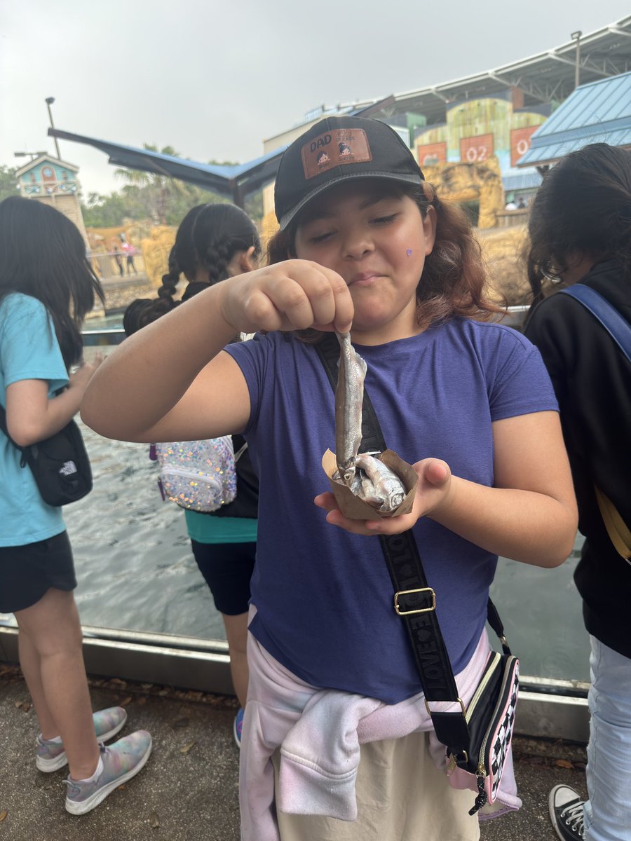 Diana Vargas (@mrsdianavargas) on Twitter photo Our SeaWorld Incentive trip for 3rd-5th was the BEST! Thank you <a href="/CanalesItzamara/">Itzamara Canales</a> <a href="/EISDofSA/">Edgewood ISD</a> <a href="/RaquelReads77/">Raquel Rodriguez</a> thank you for your help in keeping our students safe. Our SeaWorld Incentive trip for 3rd-5th was the BEST! Thank you <a href="/CanalesItzamara/">Itzamara Canales</a> <a href="/EISDofSA/">Edgewood ISD</a> <a href="/RaquelReads77/">Raquel Rodriguez</a> thank you for your help in keeping our students safe.