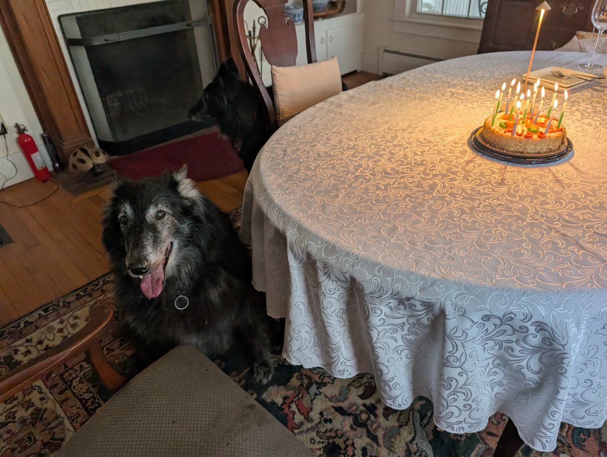 Laura Wilson tweet media