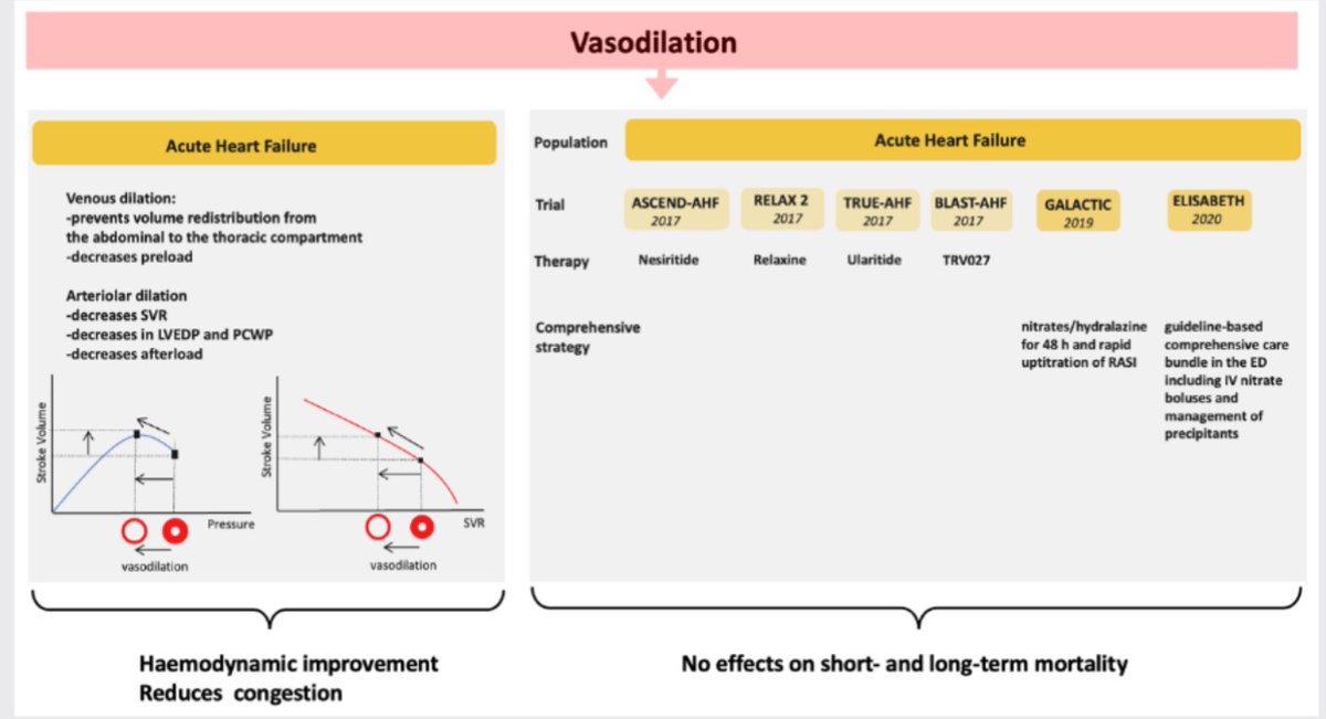 EJHF Editor-in-Chief (@ejhfeic) on Twitter photo Pathophysiology and clinical use of agents with #vasodilator properties in acute heart failure. A scientific statement of the #HFA of the European Society of Cardiology (ESC)
onlinelibrary.wiley.com/doi/full/10.10… <a href="/MarcoMetra/">Marco Metra</a>
#EJHF <a href="/HanCardiomd/">Henry Han</a>
<a href="/GiuseppeGalati_/">Giuseppe Galati</a> <a href="/AmrAbdin10/">Amr Abdin</a> Pathophysiology and clinical use of agents with #vasodilator properties in acute heart failure. A scientific statement of the #HFA of the European Society of Cardiology (ESC)
onlinelibrary.wiley.com/doi/full/10.10… <a href="/MarcoMetra/">Marco Metra</a>
#EJHF <a href="/HanCardiomd/">Henry Han</a>
<a href="/GiuseppeGalati_/">Giuseppe Galati</a> <a href="/AmrAbdin10/">Amr Abdin</a>