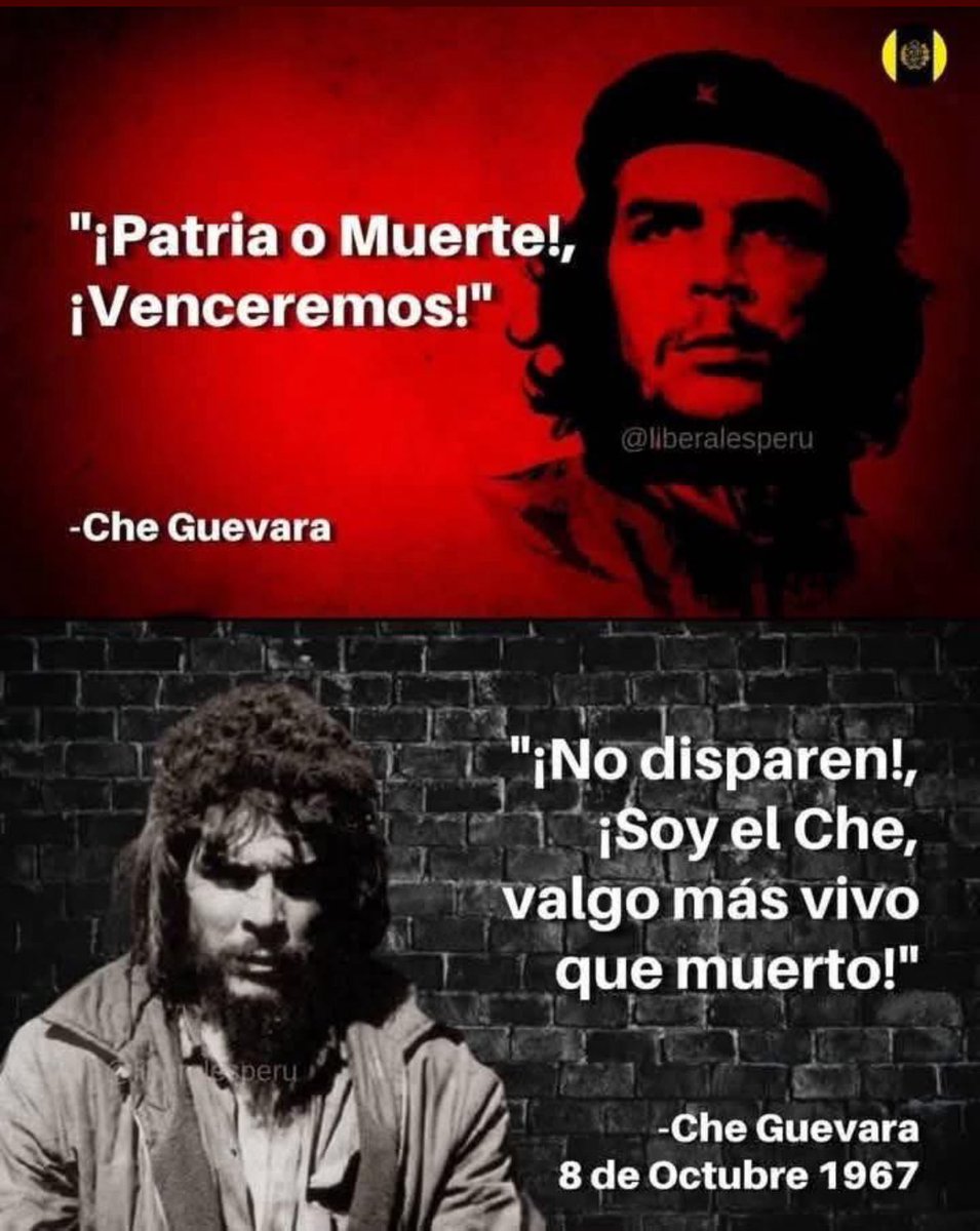 MayraDo57466678's tweet photo. Así murió el muy cobarde, suplicando por su vida. https://t.co/SHnM0bOjbD