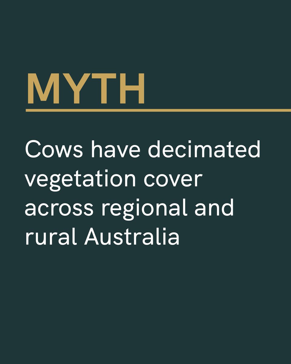CattleAus's tweet image. The election may be over but that doesn’t mean we’ll stop making the case for better environmental policies that recognise the positive role Australia’s cattle producers play in managing our land and water resources.