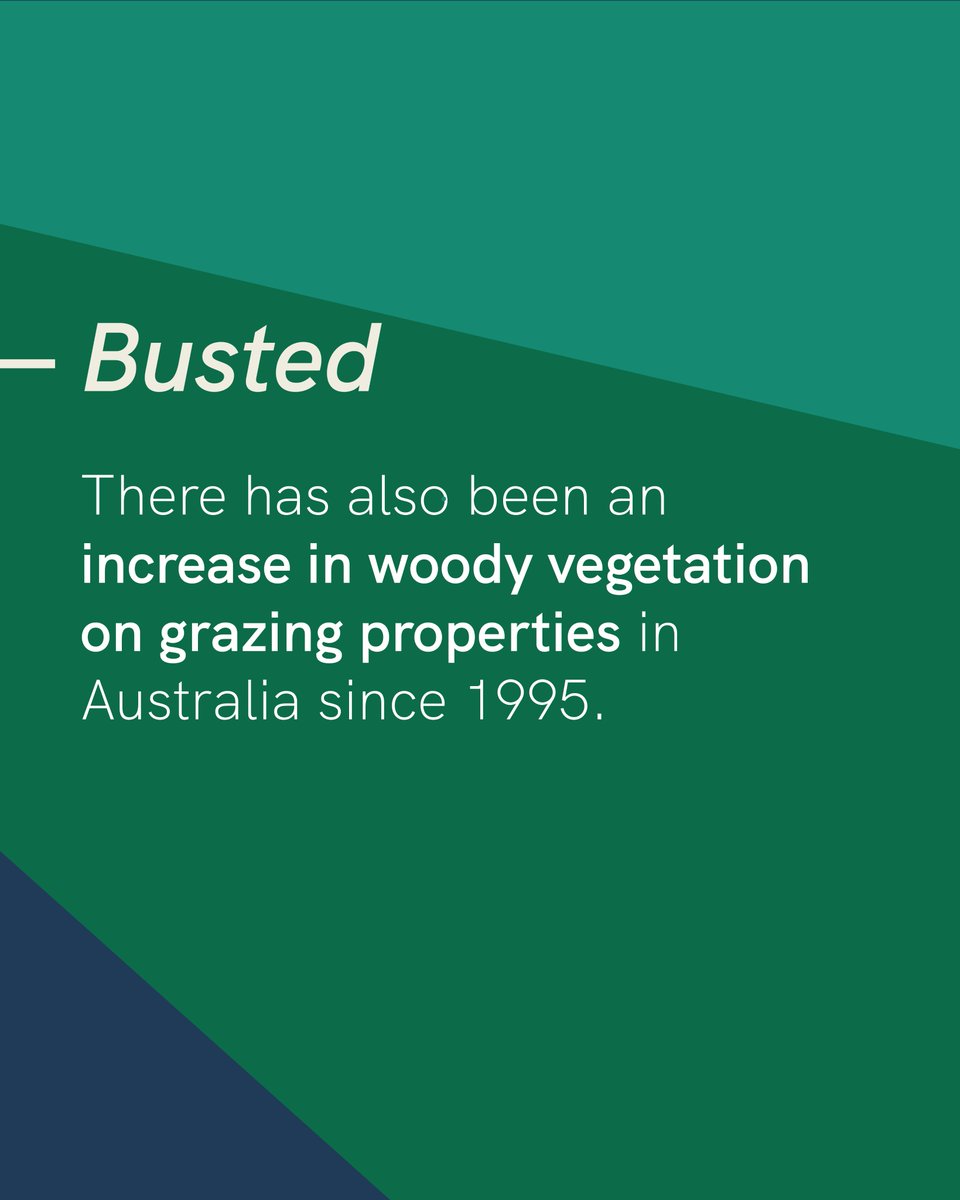 CattleAus's tweet image. The election may be over but that doesn’t mean we’ll stop making the case for better environmental policies that recognise the positive role Australia’s cattle producers play in managing our land and water resources.