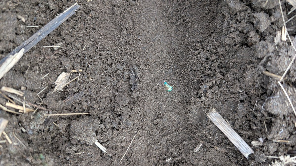Finding some fit soil to plant a #CROPLAN #corn plot at <a href="/CedarbancFarms/">Cedarbanc Farms</a> today! 89-95RM corn planted in this one along the lake in Bruce County. #WinFieldUnitedCanada #plant25