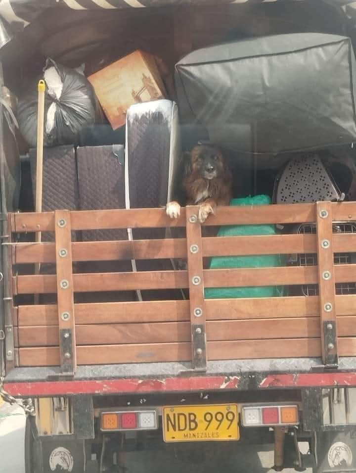 No importa cómo lo lleves, un amigo nunca se abandona 🙏