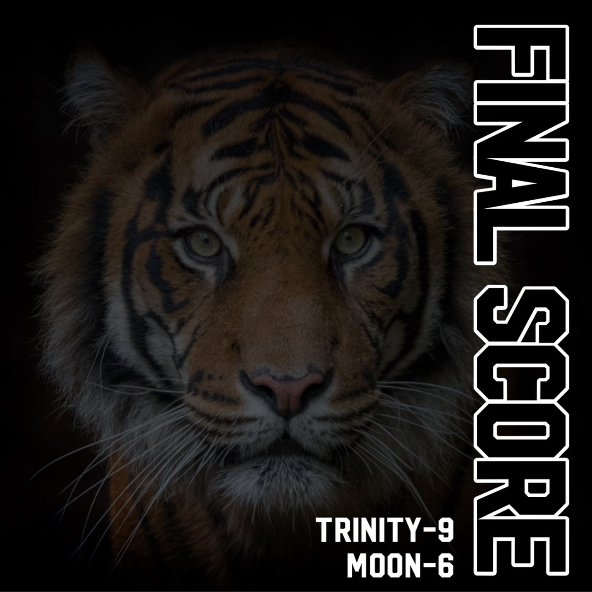 Moon Area Tigers Baseball tweet media