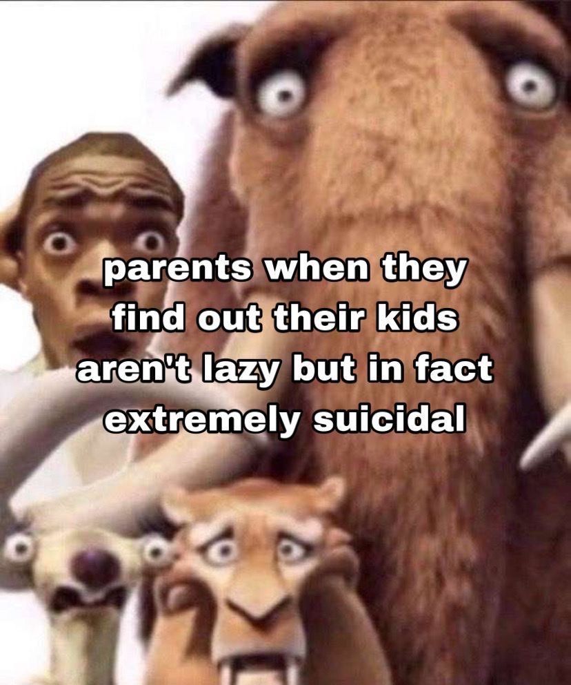 wildtiktokss's tweet image. 