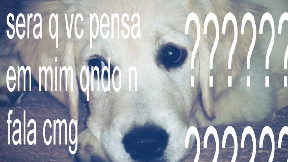 acelora (@liacerola) on Twitter photo 