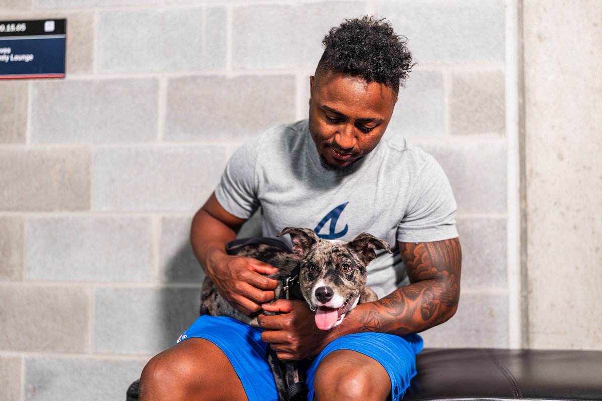 Atlanta Braves Foundation (@bravesfdn) on Twitter photo Meet Homer, our first Dog Days of Summer pup of the year! He’s a nine-week-old collie mix who loves people and other dogs, and he’s available for adoption 🐶 Visit Homer inside the Third Base Gate at <a href="/TruistPark/">Truist Park</a> tonight! Meet Homer, our first Dog Days of Summer pup of the year! He’s a nine-week-old collie mix who loves people and other dogs, and he’s available for adoption 🐶 Visit Homer inside the Third Base Gate at <a href="/TruistPark/">Truist Park</a> tonight!