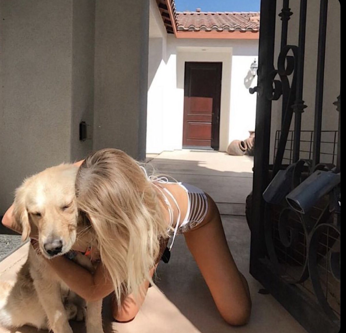 StellaC247's tweet photo. I let my Dog goes deeper inside me on telegram: 
@stellacharles45

#doglove #vixen #aoz #doglover #girlsanddogs #horselove #bfi
#doggystyles 
#Beastmode 
#BeastBeat 
#beastiality
#zoophilia 
#zoophiletwt 
#zoophilia #zoophile #zooprideisvalid #zoophilesarevalid https://t.co/3MHWqaqaca