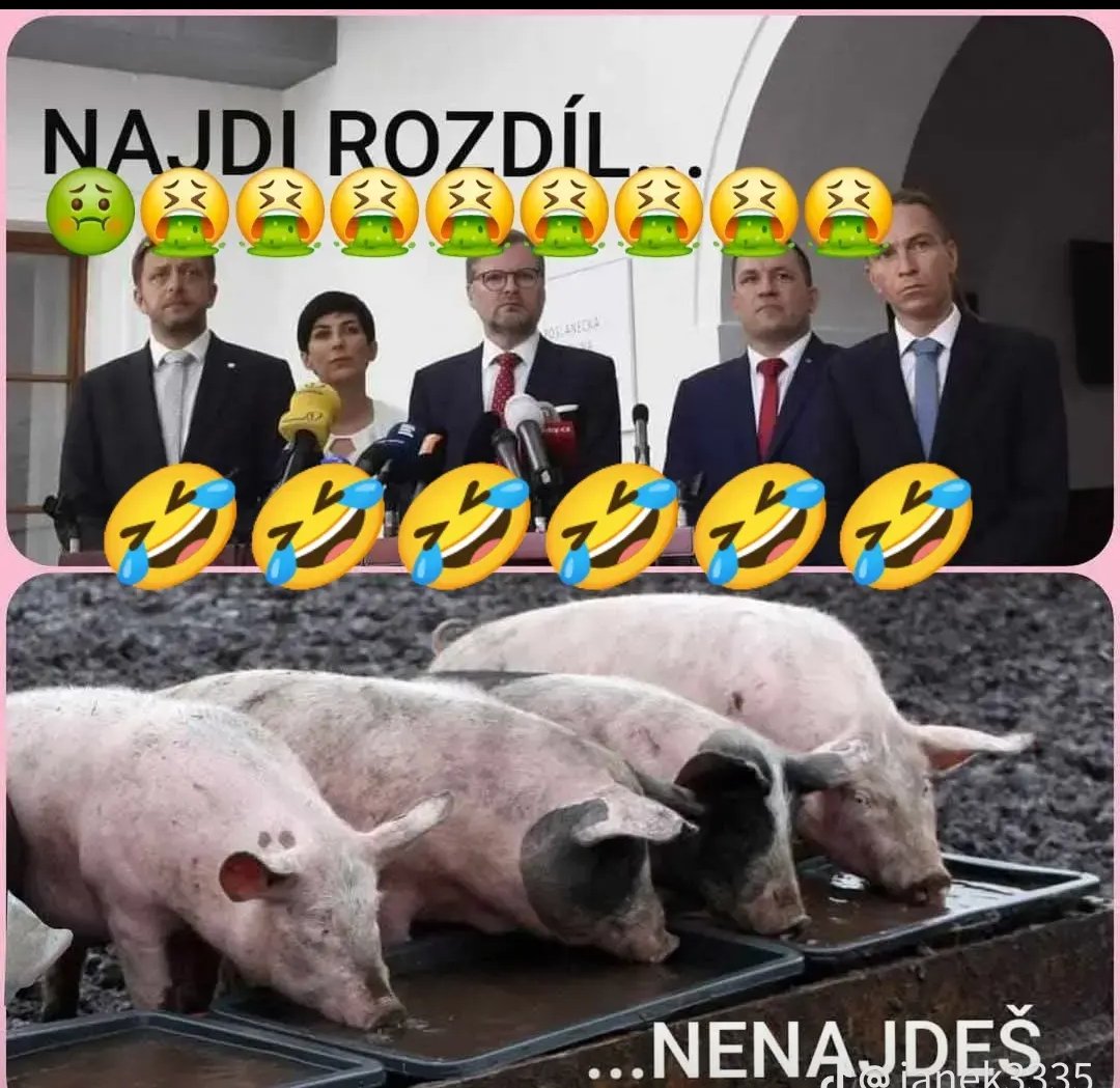 DavidSkrobala's tweet photo. @market_a @_FriedrichMerz https://t.co/B7NGB8P5kQ