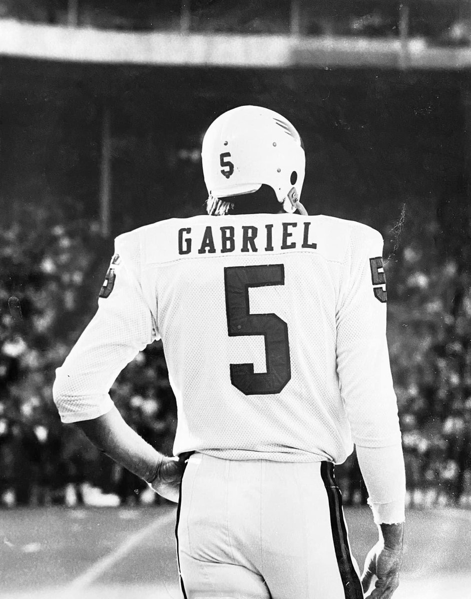 Roman Gabriel for Pro Football Hall of Fame (@rgabriel4hof) on Twitter photo 
