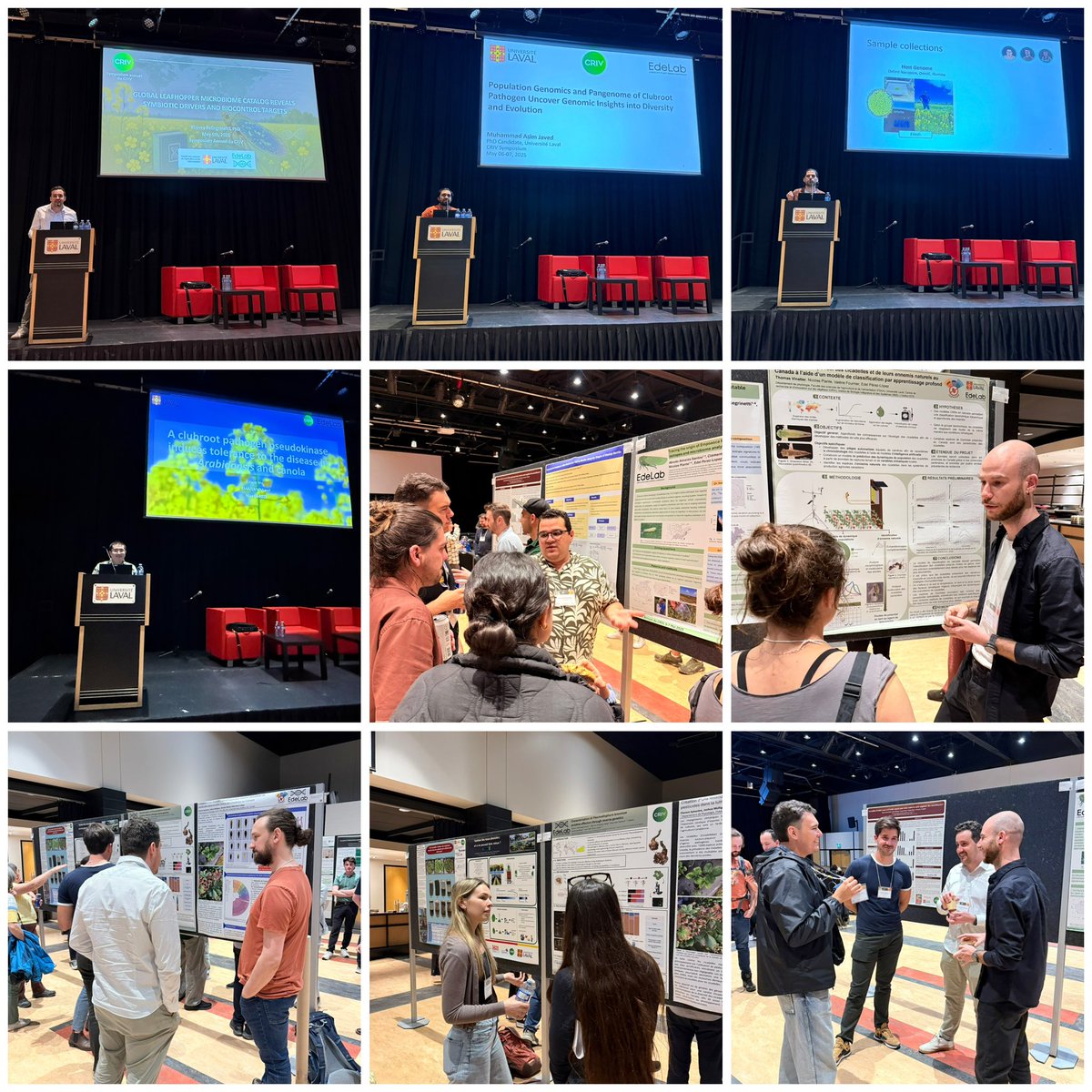 Edel Pérez-López (@edel_plopez) on Twitter photo 🎉 Belle première journée au Symposium du <a href="/ulcriv/">CRIV @ Laval U</a> 2025 à l’<a href="/universitelaval/">Université Laval</a> !
Quatre membres du labo – Florent Sylvestre, Abraao Almeida Santos, Thomas Vinatier et Alyson Deslongchamps – ont présenté leur travail pendant la session d’affiches.
En parallèle, <a href="/JiaxuWu6/">Jiaxuw-plant</a> , 🎉 Belle première journée au Symposium du <a href="/ulcriv/">CRIV @ Laval U</a> 2025 à l’<a href="/universitelaval/">Université Laval</a> !
Quatre membres du labo – Florent Sylvestre, Abraao Almeida Santos, Thomas Vinatier et Alyson Deslongchamps – ont présenté leur travail pendant la session d’affiches.
En parallèle, <a href="/JiaxuWu6/">Jiaxuw-plant</a> ,