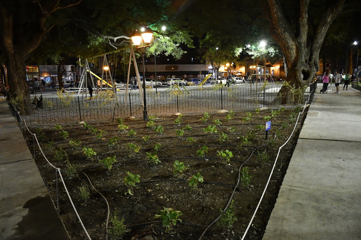 GustavoSaenzOK's tweet photo. Hoy recorrimos la renovada plaza Alvarado, un espacio emblemático que vuelve a ser un verdadero punto de encuentro para las familias salteñas 👏🏻

🌳Poner en valor nuestras plazas es fortalecer la identidad barrial y recuperar esos lugares donde vecinos, familias y amigos se reúnen, comparten y disfrutan.

✔️Nuevas caminerías, juegos infantiles, espacios recreativos, parquización y su histórica fuente de agua nuevamente en funcionamiento.