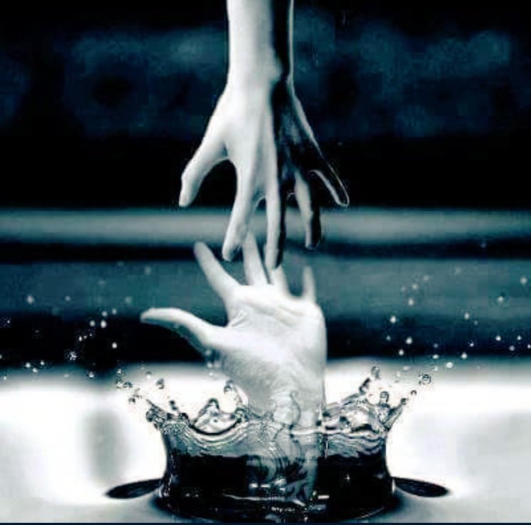 <a href="/VIP_Poetryt/">مقتطفات شعرية</a> صدقت ...كالعادة مقتطفات
فنحن لم نهمل احد يوما ......فكل من سقط من بين ايدينا لم يمسك بنا  جيدا...من البداية