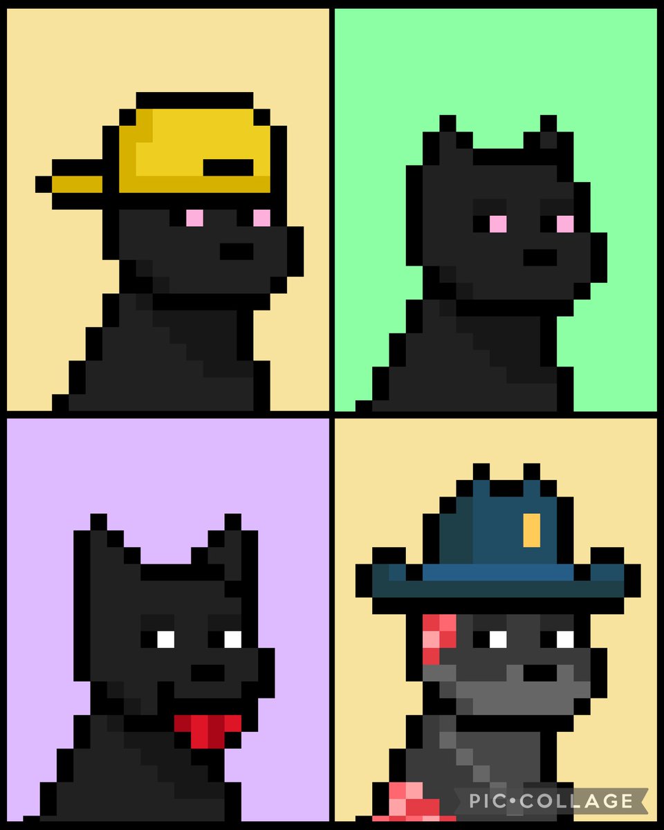 Added some fresh dogs to the collection today!  Still on the hunt for Visors, Wizards, Black Dogs &amp; Snapbacks/Dad Hats.

DMs are open — let’s make a deal!