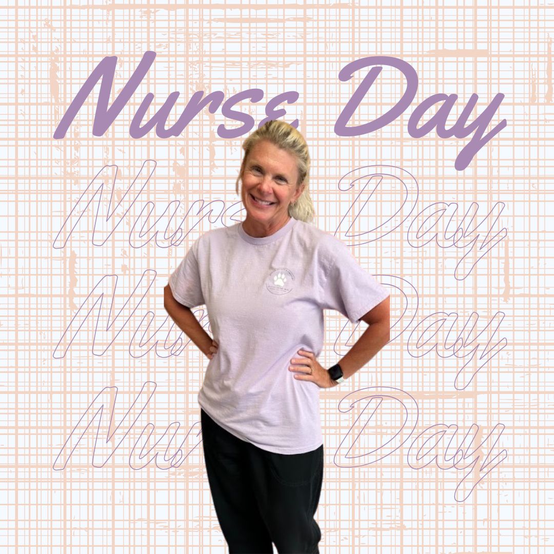 Benton Heights ESA (@bentonheightses) on Twitter photo Happy Nurse Appreciation to the one and only, Ms. Burr! We are so grateful for your care and compassion toward all of our Tigers. Thank you for all you do! <a href="/UCPSNC/">Union County Public Schools</a> <a href="/AGHoulihan/">Andrew G. Houlihan</a> <a href="/aestinch/">Amanda Stinchcomb</a> <a href="/boatcandice/">Candice Boatright</a> Happy Nurse Appreciation to the one and only, Ms. Burr! We are so grateful for your care and compassion toward all of our Tigers. Thank you for all you do! <a href="/UCPSNC/">Union County Public Schools</a> <a href="/AGHoulihan/">Andrew G. Houlihan</a> <a href="/aestinch/">Amanda Stinchcomb</a> <a href="/boatcandice/">Candice Boatright</a>