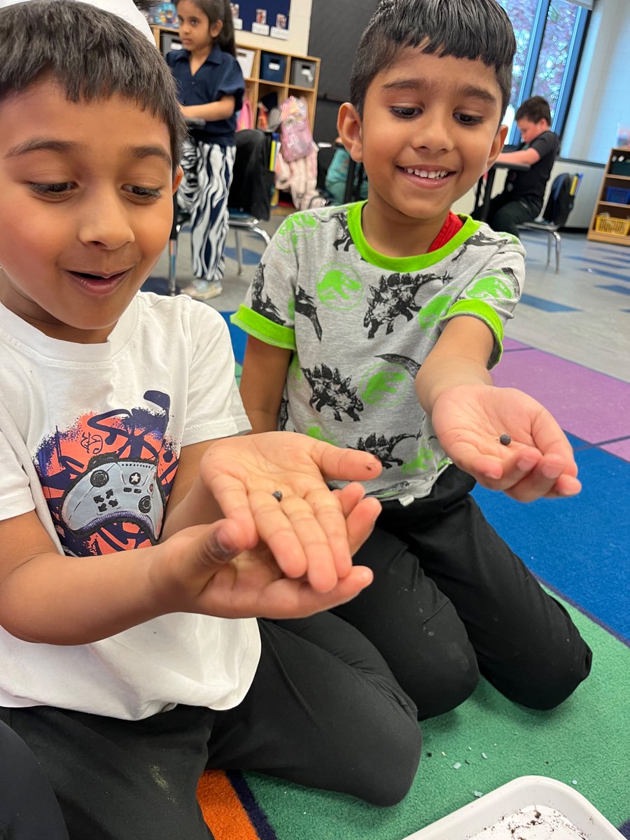 Exploring some pretty cute worms and pill bugs!  #bemisthinkers