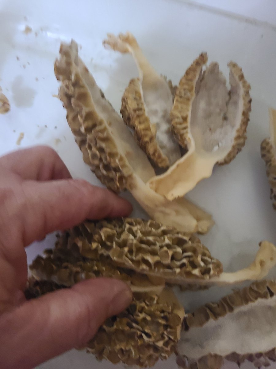 Part of dinner tonight