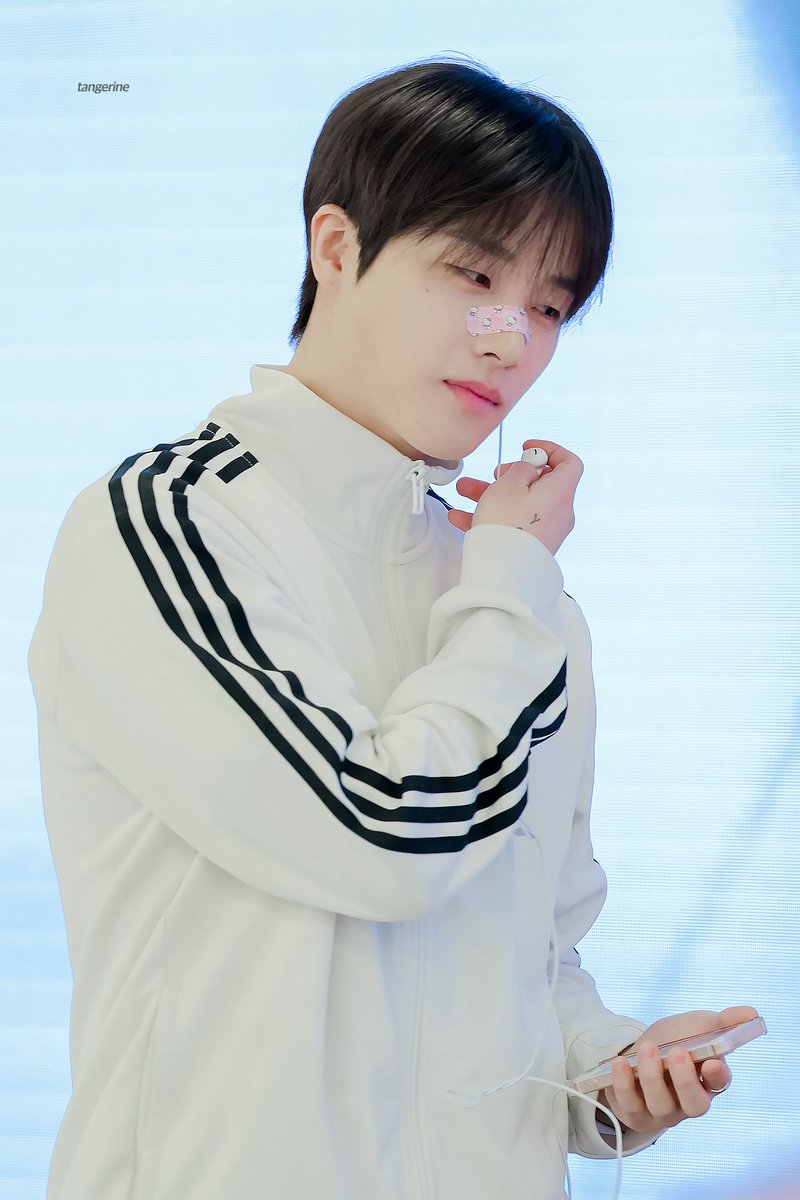감귤🍊 tweet media