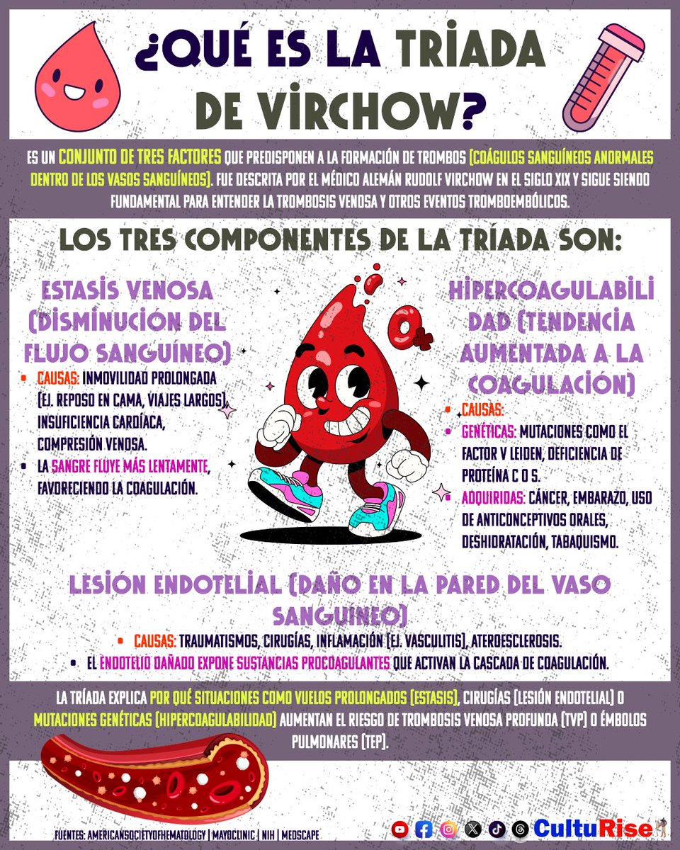 ¿Qué es la triada de virchow?
#sangre #SangreAzul #Blood #bloody #bloodline #medico #medicos #medicina #doctors #hospital #hospitality #hospitality #trend #tendencia #HOY #cuerpo #body #bodybuilder