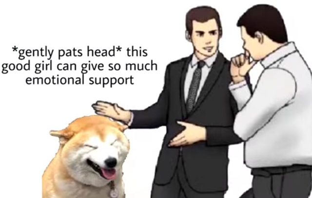 WholesomeMemes (@wholesomememe) on Twitter photo 