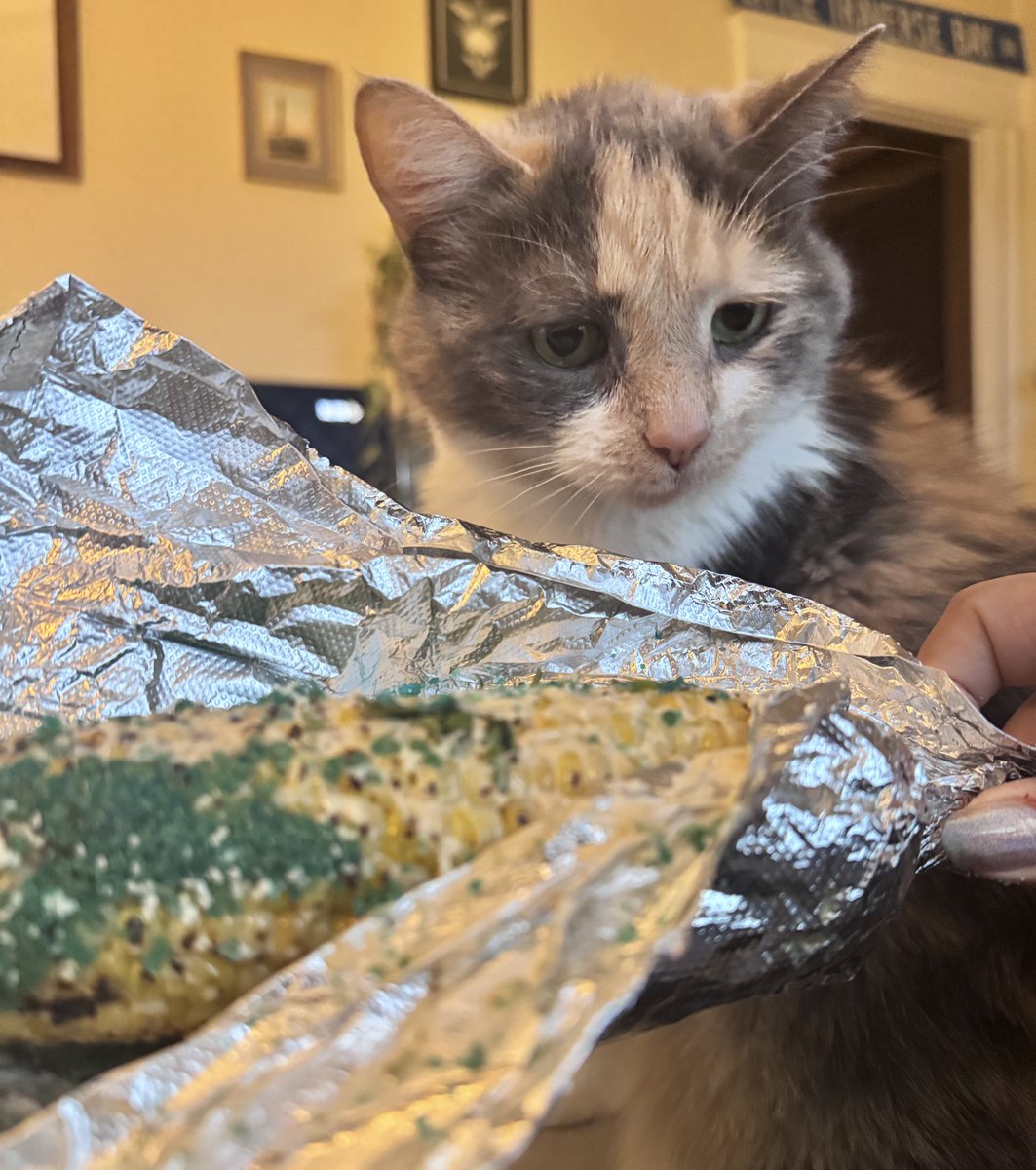 the elote wanter has logged on