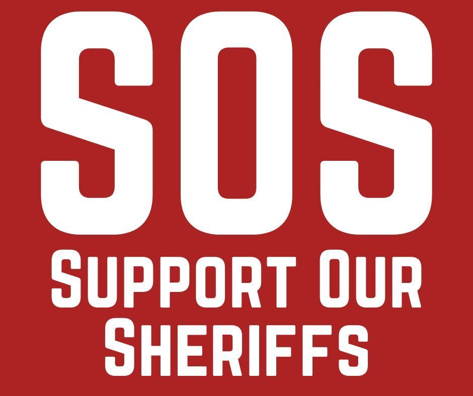 🚔 How are the law enforcement  organizations in your state doing with the fight against criminal illegal immigration? Are they a constitutional defender or an oath breaker? 

🇺🇸 Find out here: theacru.org/our-issues/def…